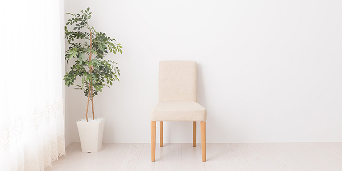 白色の綺麗な室内に椅子と観葉植物が置かれている